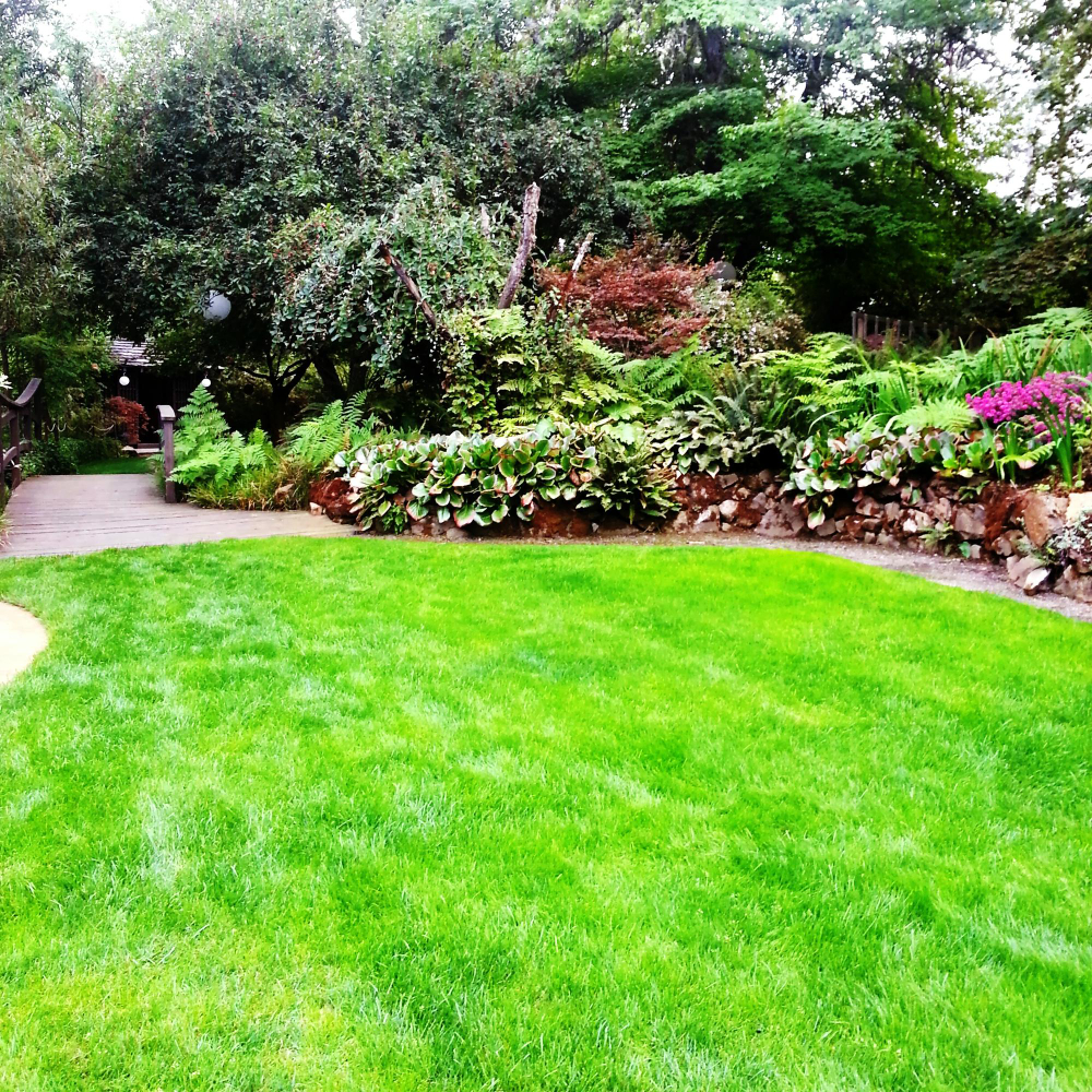 Landscaping