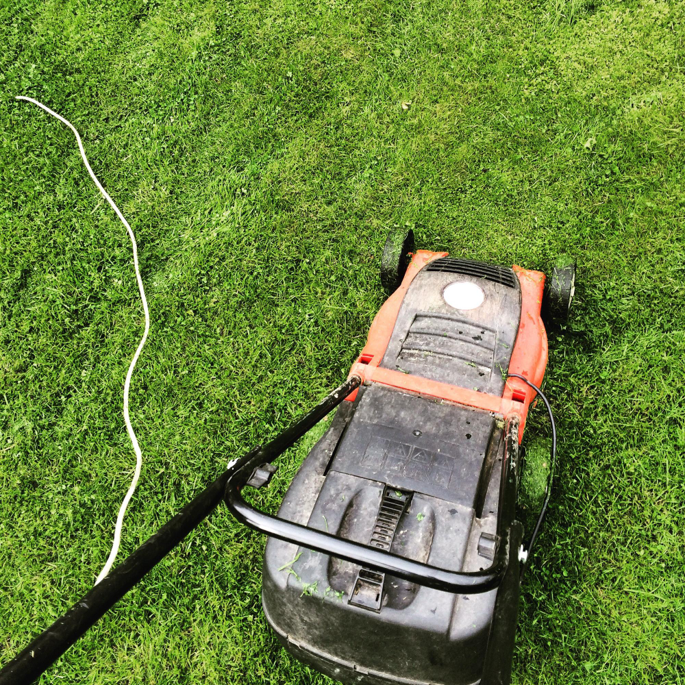 Lawn Care